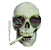 smokingskull.gif (9588 bytes)